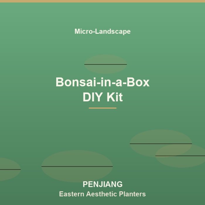 Bonsai-in-a-Box DIY Kit