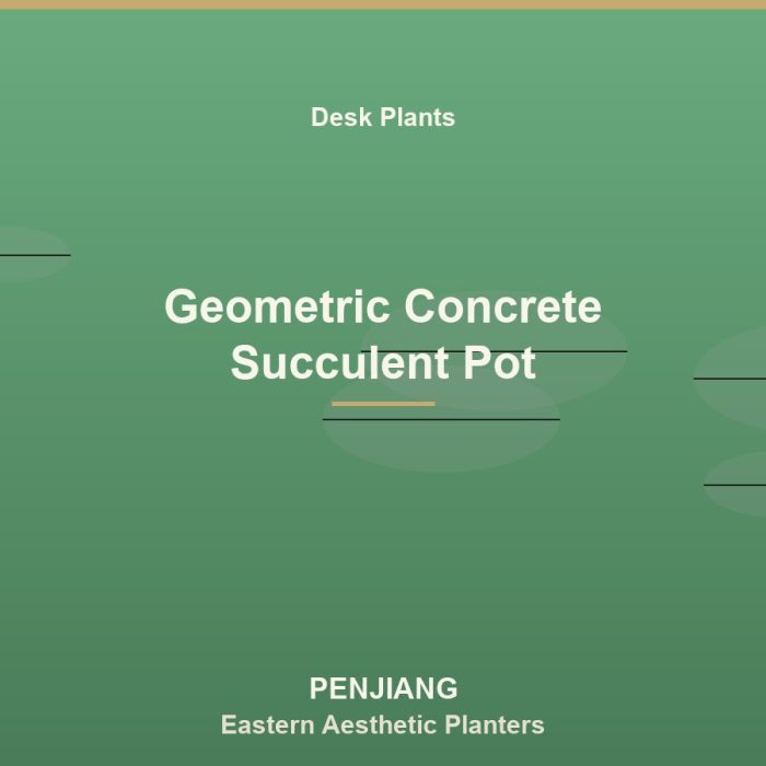 Geometric Concrete Succulent Pot