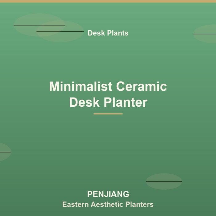 Minimalist Ceramic Desk Planter