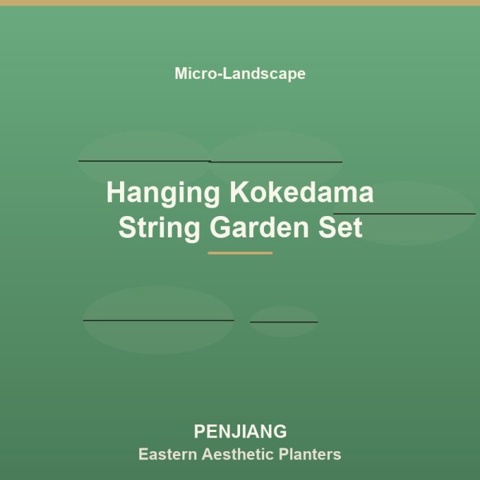 Hanging Kokedama String Garden Set