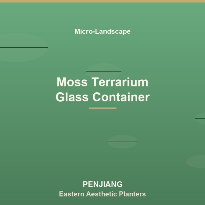 Moss Terrarium Glass Container