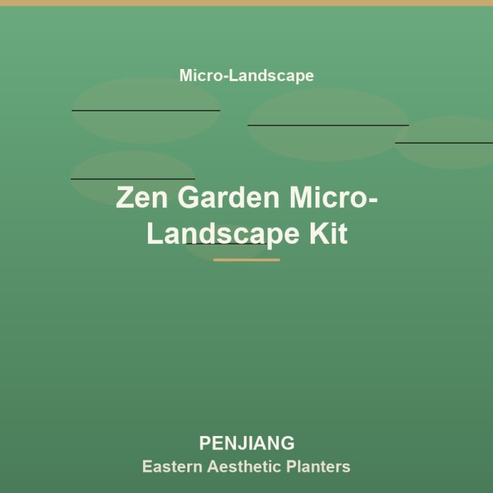 Zen Garden Micro-Landscape Kit